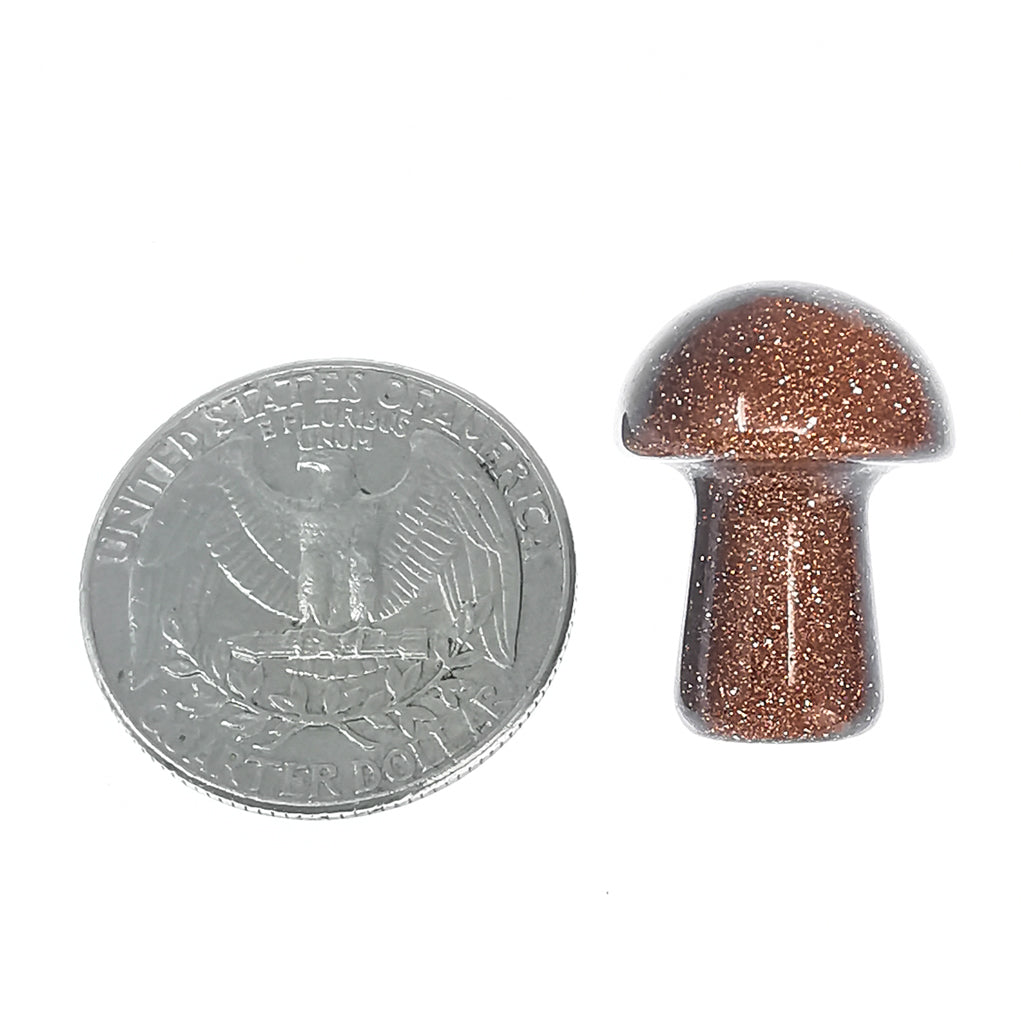 Mini mushroom carving – mushroom beside a coin for scale
