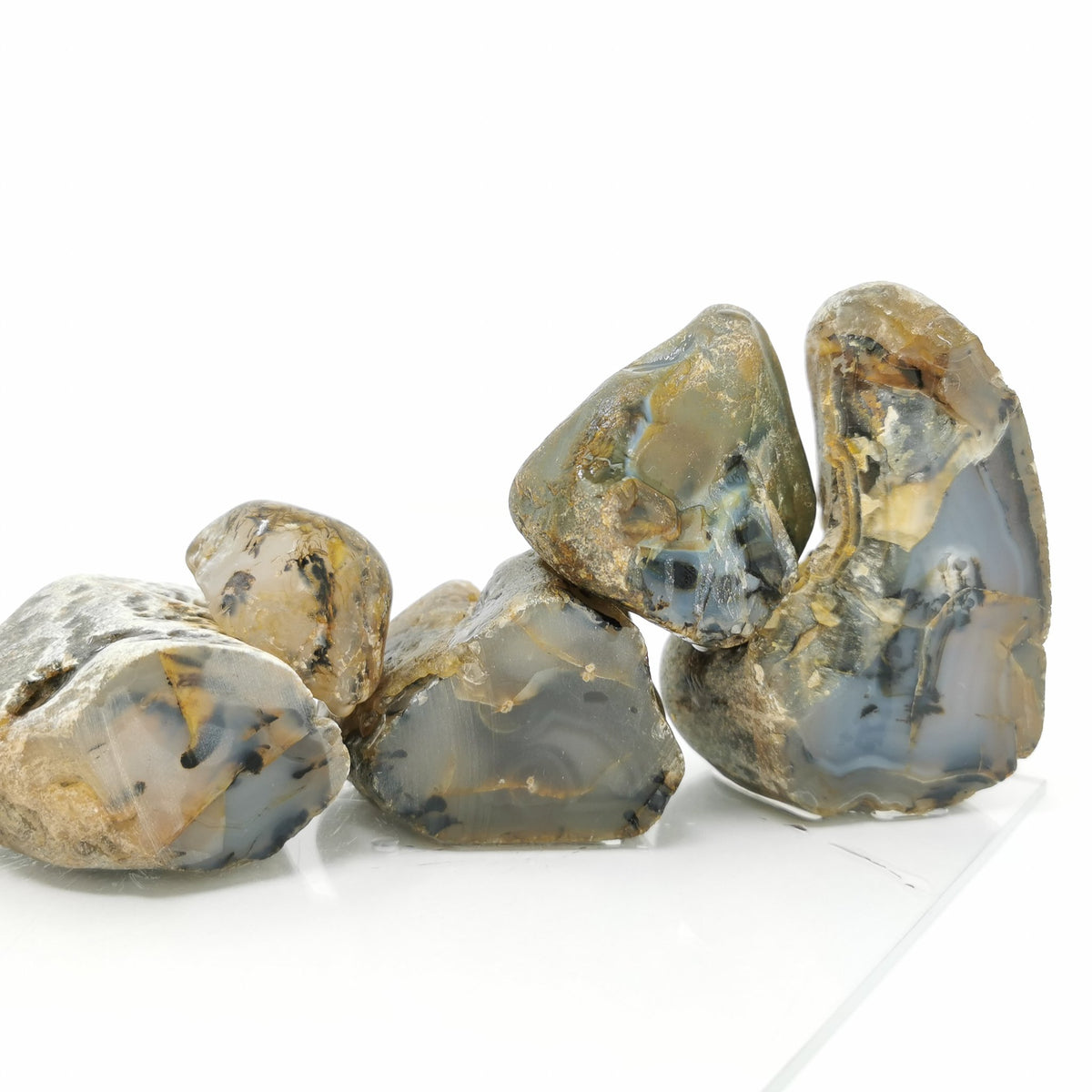 Montana Agate rough, a variety of chalcedony.