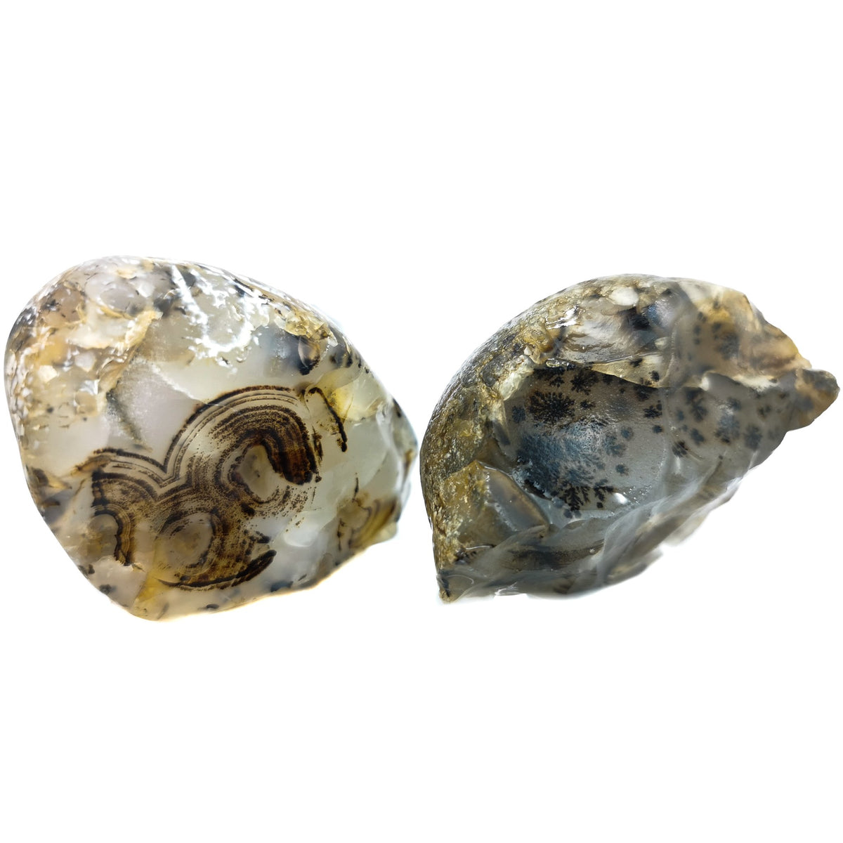 Montana Agate rough, a variety of chalcedony.