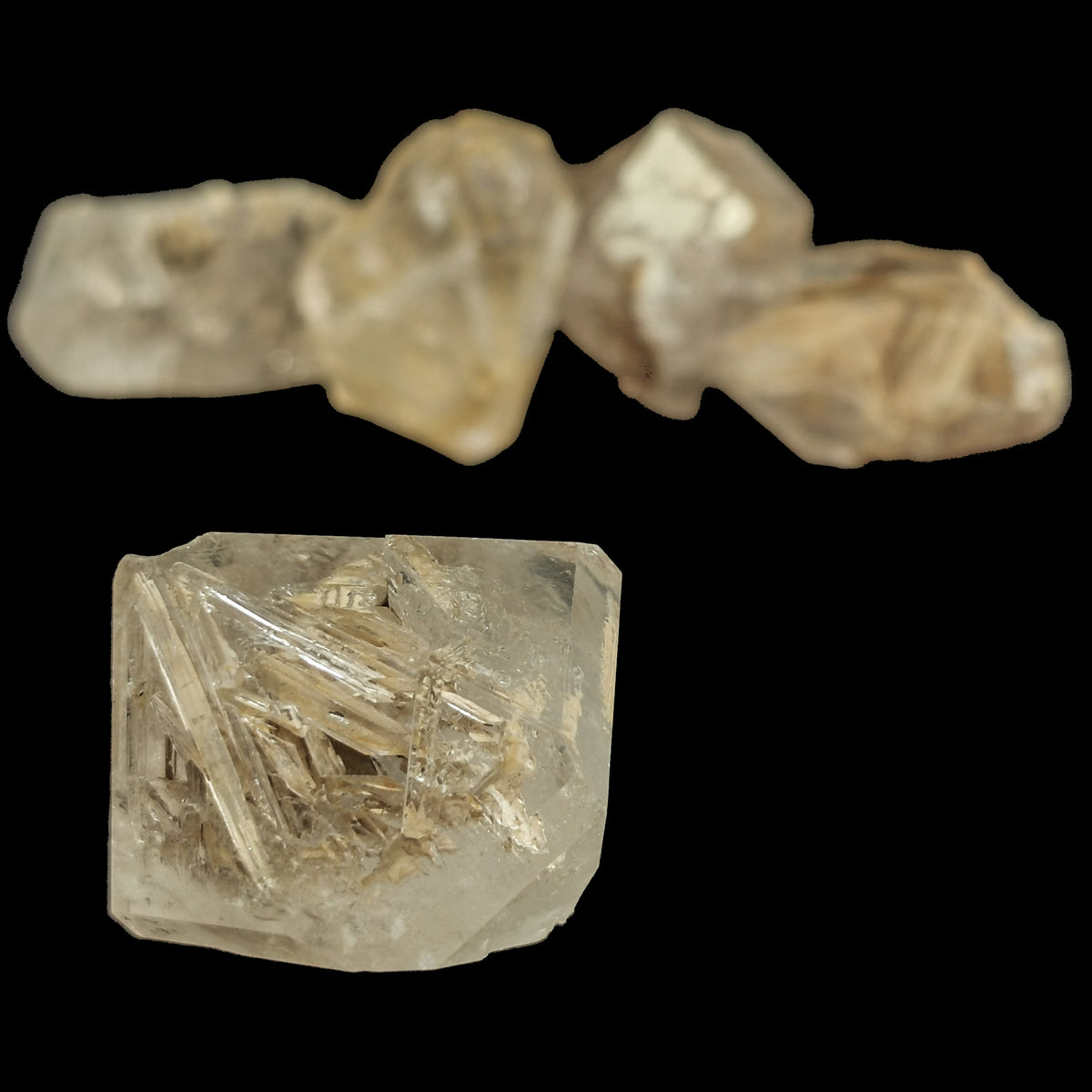 Moroccomer specimen from Morocco.