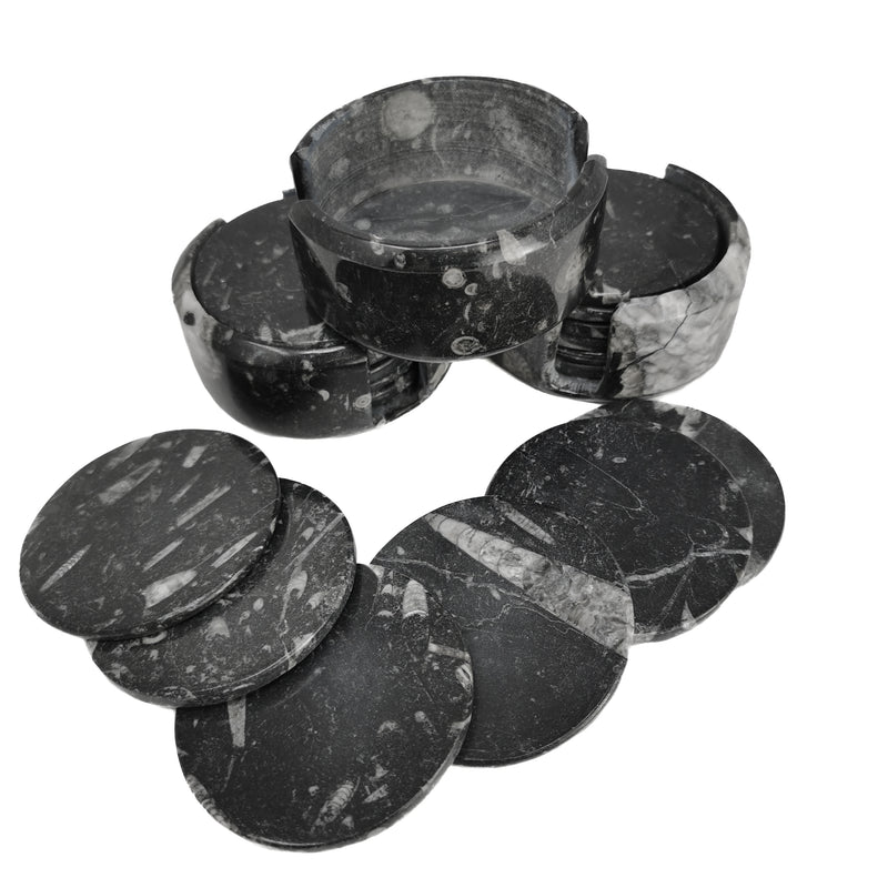 Orthoceras Coasters - Fossil