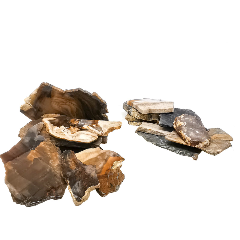 Petrified Wood Slabs - Rough