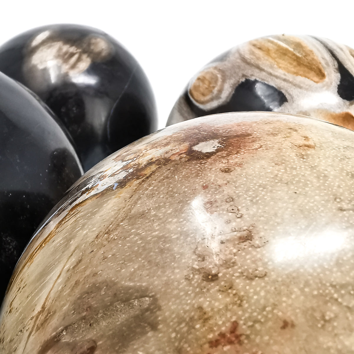 Petrified Wood sphere fossil from Indonesia.
