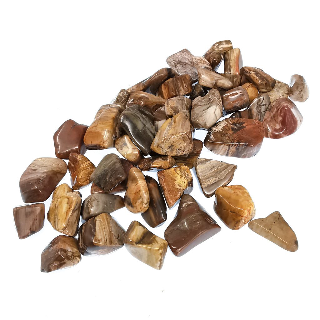 Petrified wood tumble from Ambilobe, Madagascar – pile of tumbles