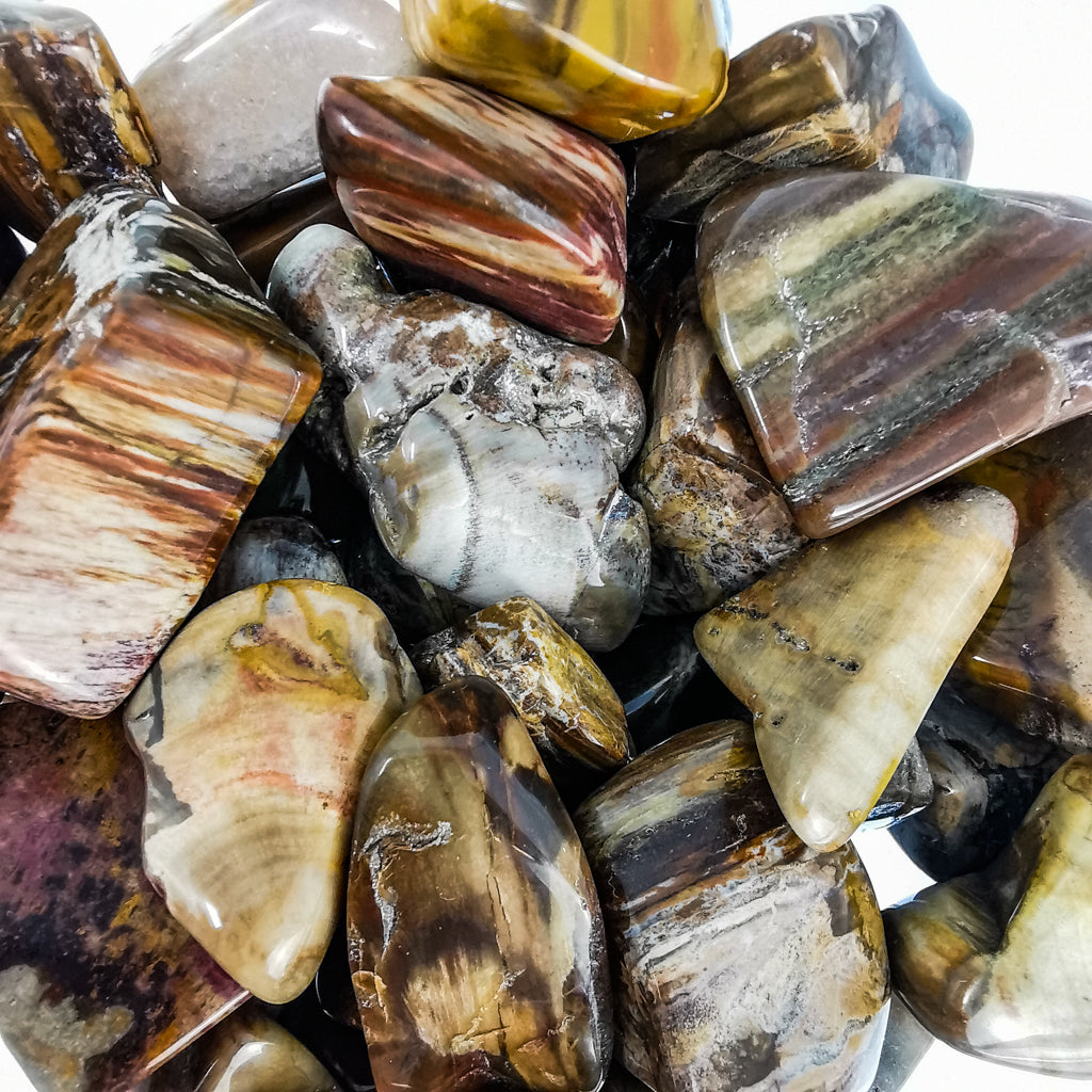 Petrified wood tumble from Ambilobe, Madagascar – banded tumbles