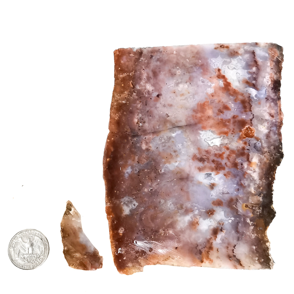 Plume Agate rough, a variety of chalcedony.