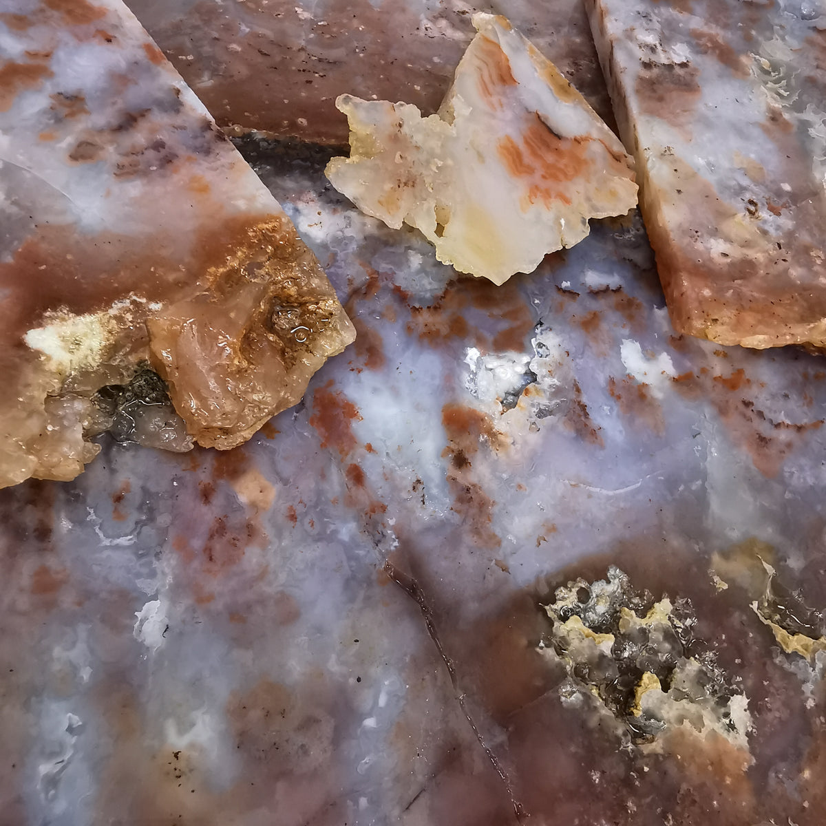 Plume Agate rough, a variety of chalcedony.