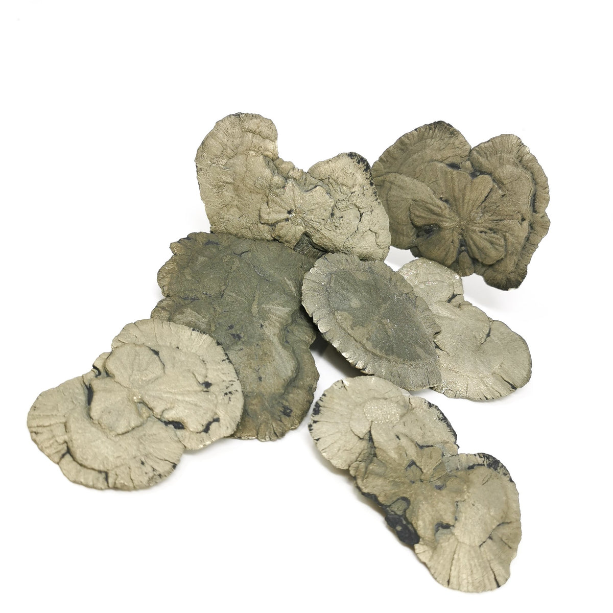 Pyrite Sun specimen, an iron sulfide, from Sparta, Illinois, USA.