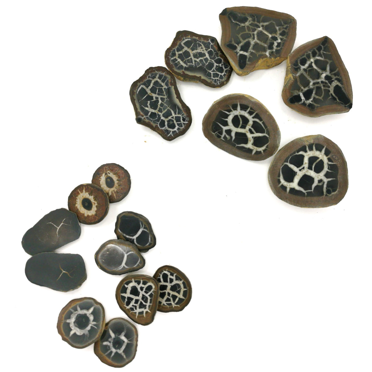 Septarian Nodule polished face pair from Morocco.