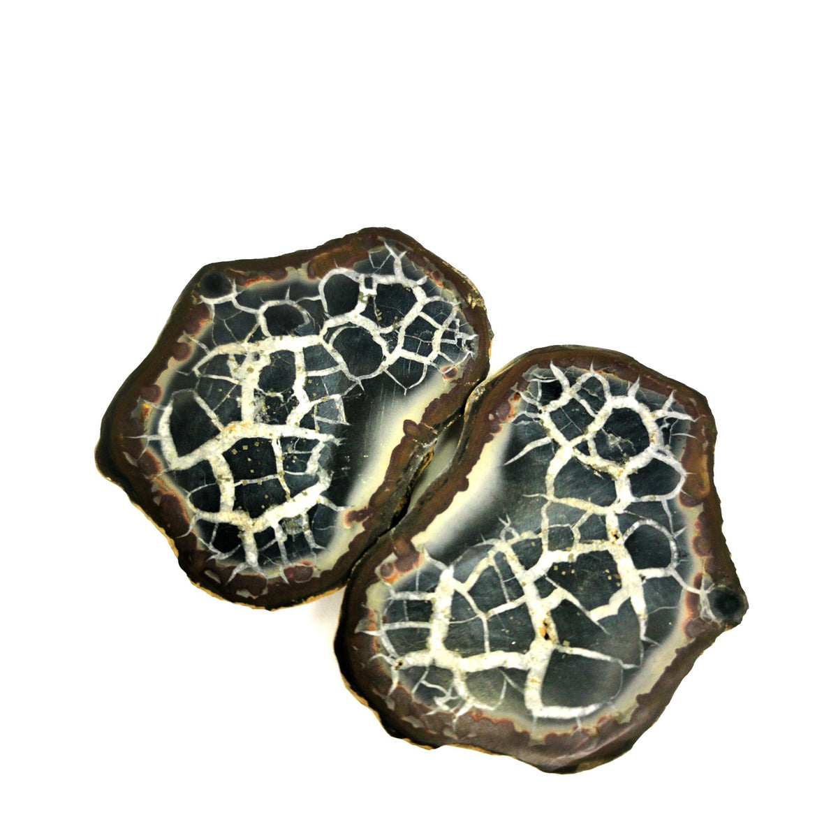 Septarian Nodule polished face pair from Morocco.
