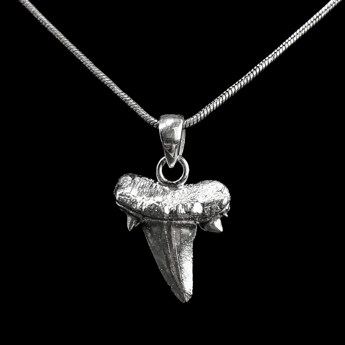 Otodus Shark Tooth pendant in sterling silver.