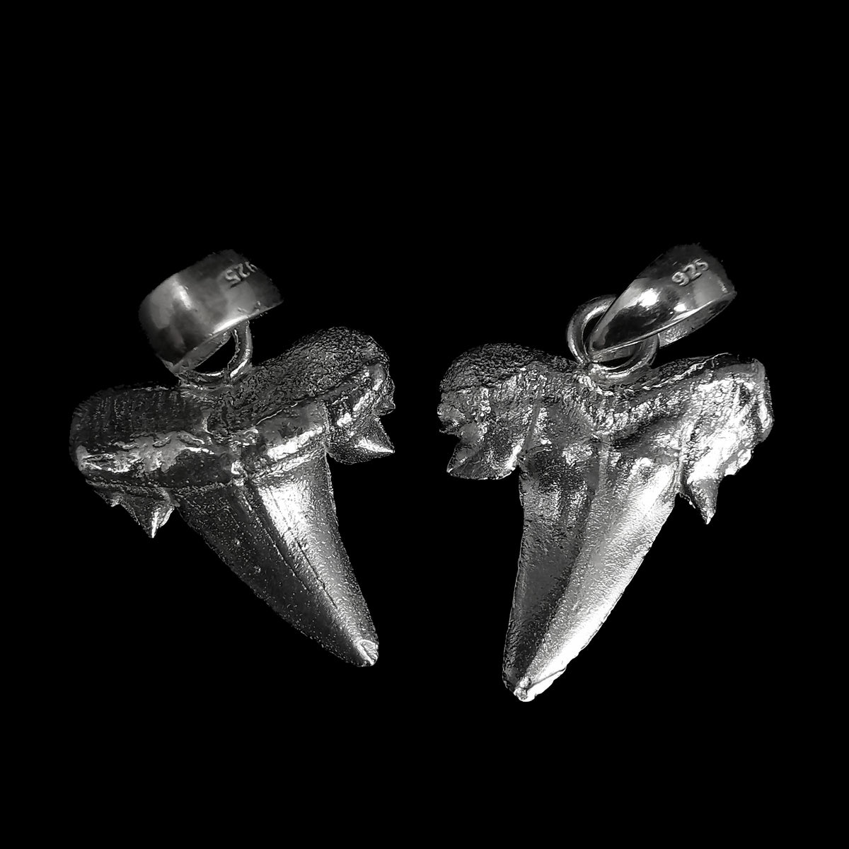 Otodus Shark Tooth pendant in sterling silver.