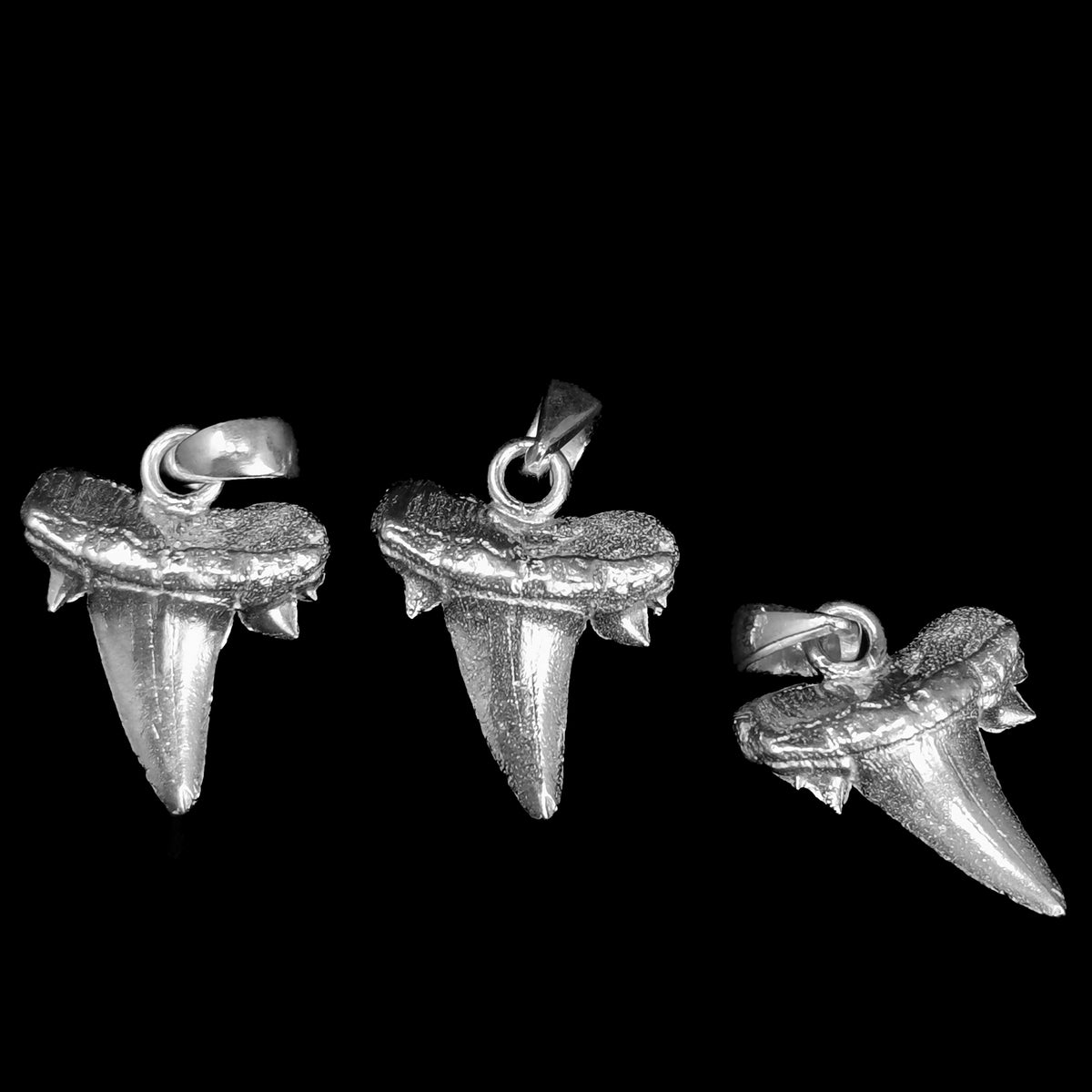 Otodus Shark Tooth pendant in sterling silver.