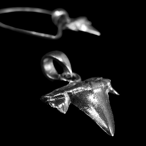 Otodus Shark Tooth - Pendant