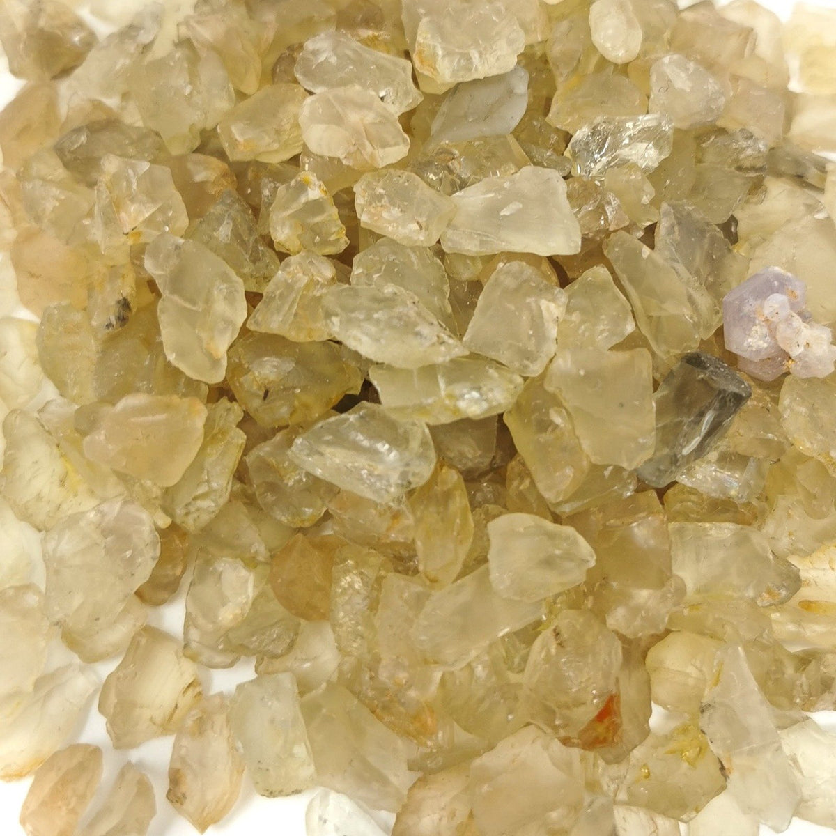 Oregon Sunstone non schiller specimen, a feldspar, from Plush, Oregon, USA.