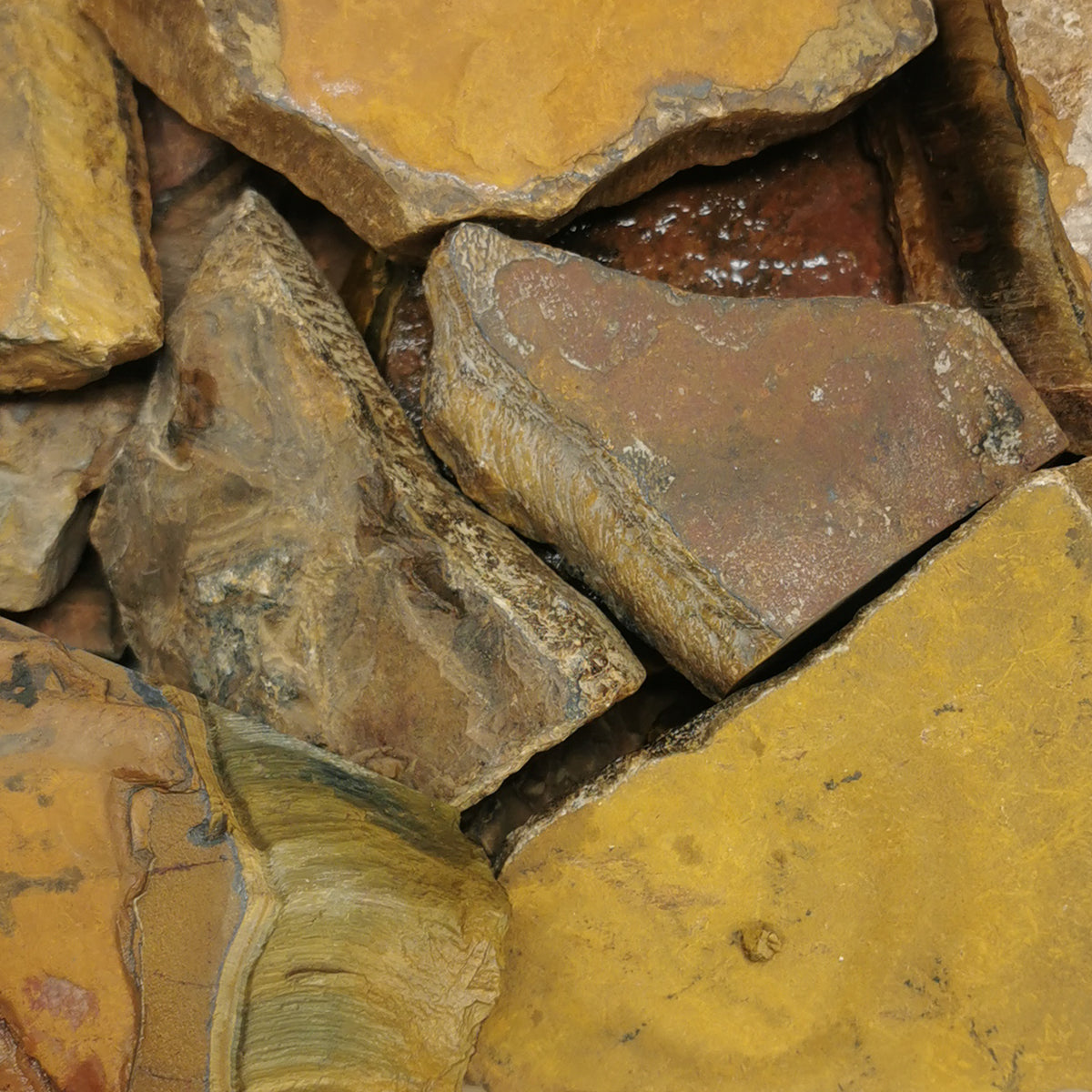 Tiger's Eye rough, a variety of quartz, from South Africa.