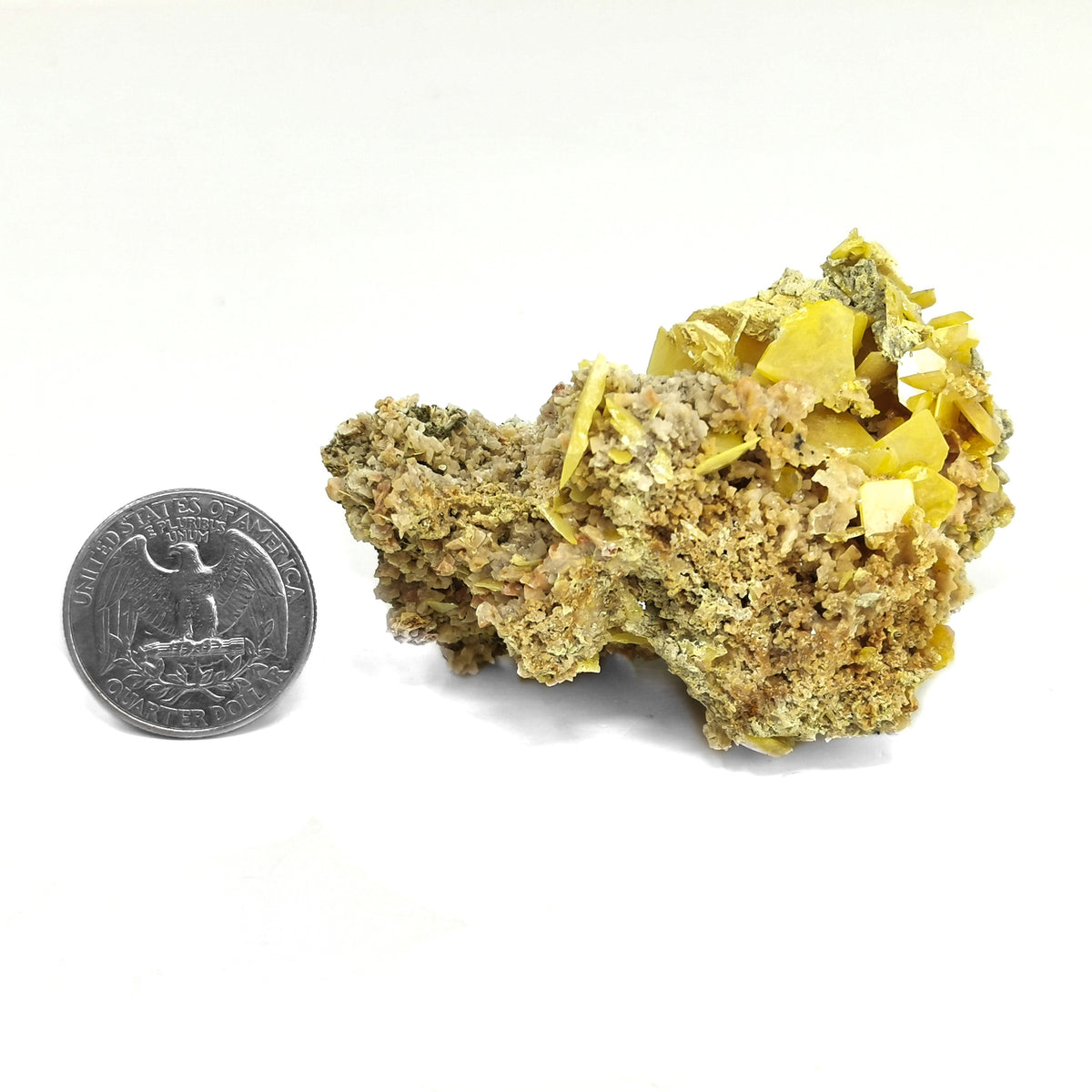 Touissit yellow wulfenite, Morocco: specimen beside a coin