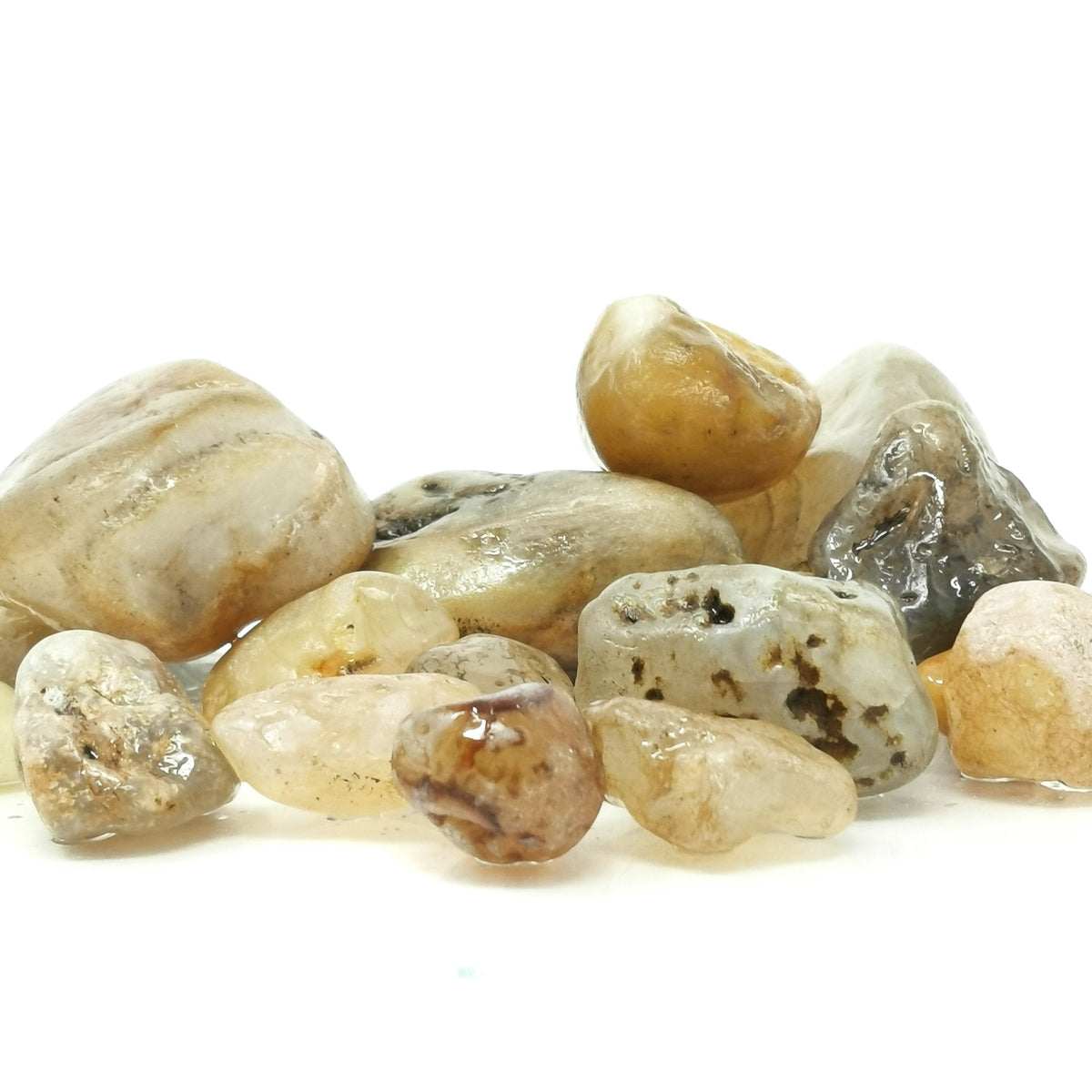 Fraser River agate rough from British Columbia