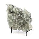 Fluorite - Statement - One of a Kind