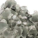 Fluorite - Statement - One of a Kind