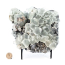 Fluorite China - One of a Kind - Statement