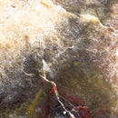 10 Dollar Lapidary Slab - Rough