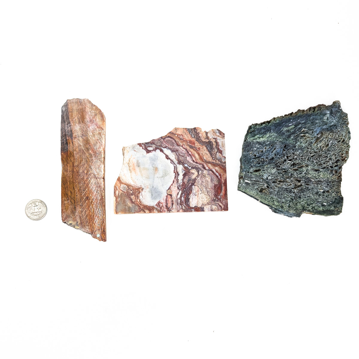 Assorted lapidary slab – three slabs beside a coin for scale