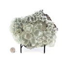 Fluorite - Statement - One of a Kind