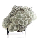 Fluorite - Statement - One of a Kind