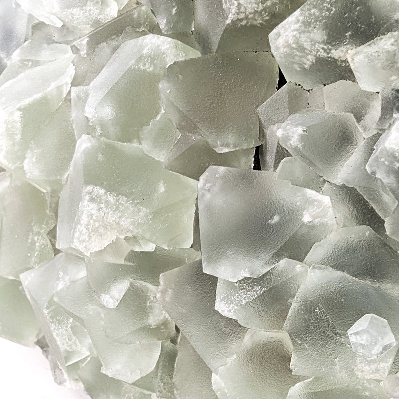 Fluorite - Statement - One of a Kind