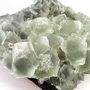 Fluorite - Statement - One of a Kind