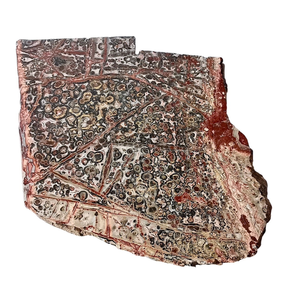 Assorted lapidary slab, agate and jasper, photo 4 of 10