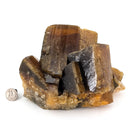 Golden Barite - One of a Kind - Statement