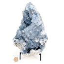 Blue Celestite - One of a Kind - Statement