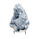 Blue Celestite - One of a Kind - Statement