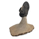 Trilobites Flexicalymene - Fossil Specimen