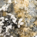 Fluorite w Aragonite - Statement - One of a Kind