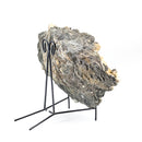 Fluorite w Aragonite - Statement - One of a Kind