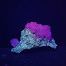 Calcite on Fluorite - Specimen