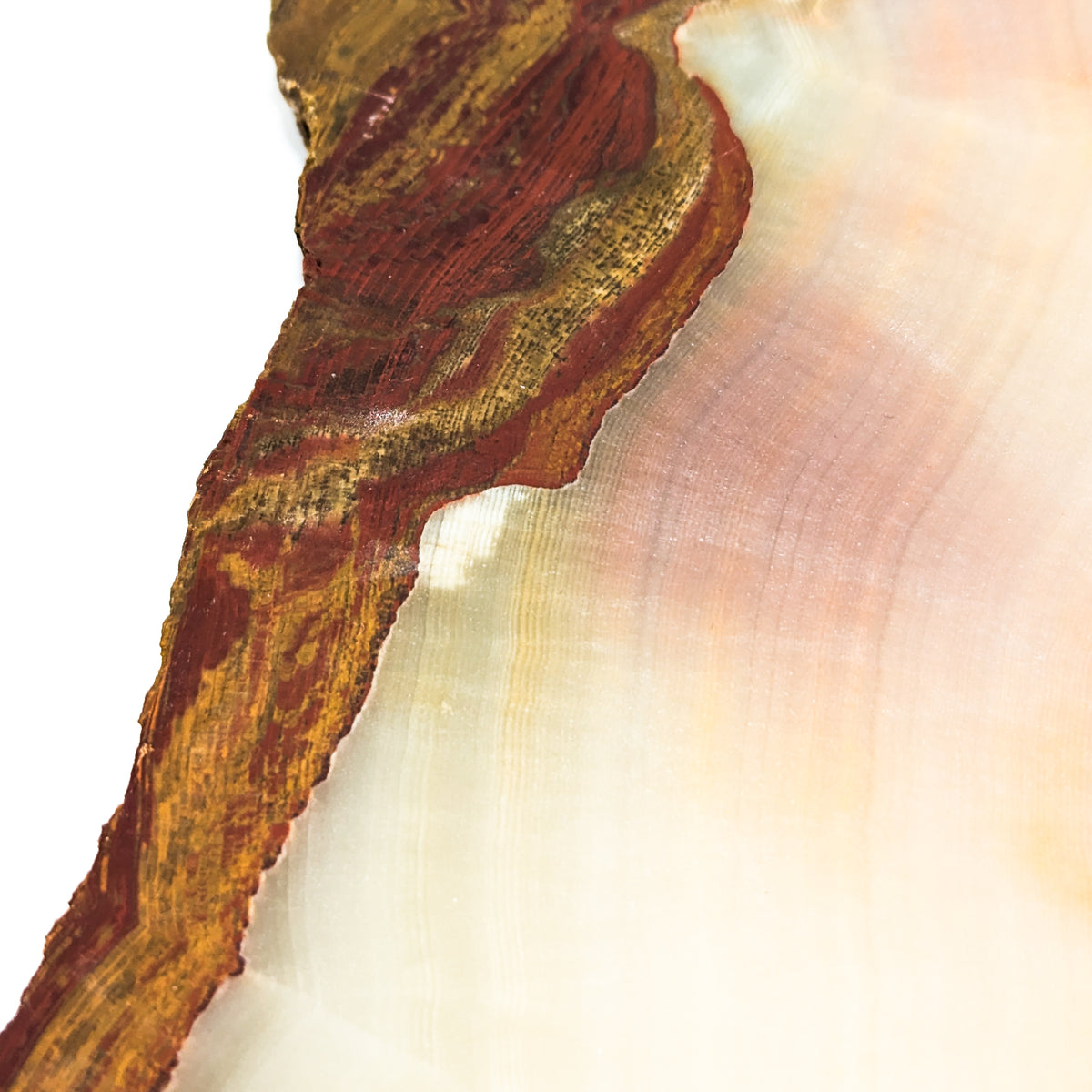 Lapidary Slab rough.