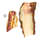 20 Dollar Lapidary Slab - Rough