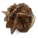 Golden Duck Bill Selenite - Specimen