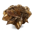 Golden Duck Bill Selenite - Specimen