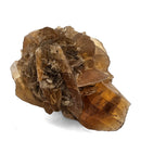 Golden Duck Bill Selenite - Specimen