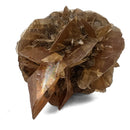Golden Duck Bill Selenite - Specimen