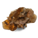 Golden Duck Bill Selenite - Specimen