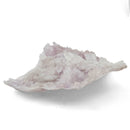 Flower Amethyst - Specimen