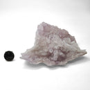 Flower Amethyst - Specimen