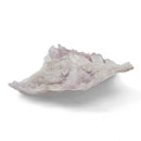 Flower Amethyst - Specimen
