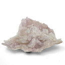 Flower Amethyst - Specimen